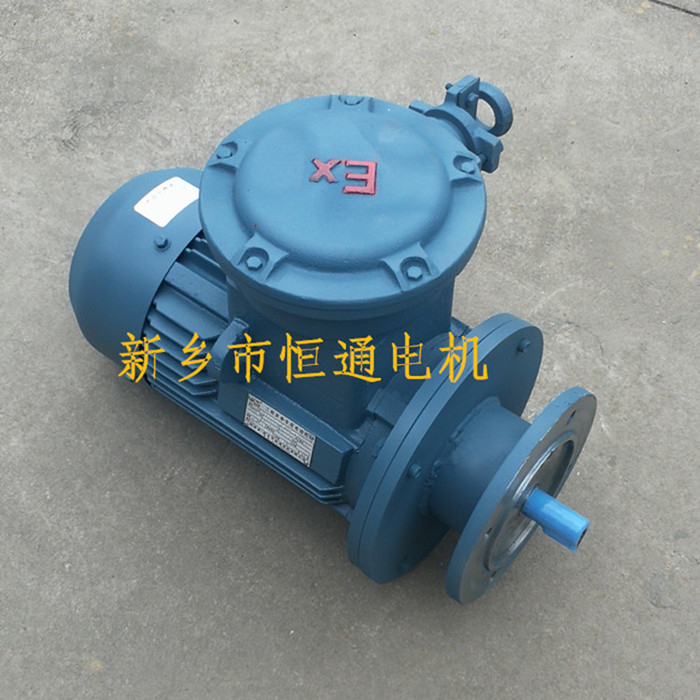 定做 防爆力矩电机